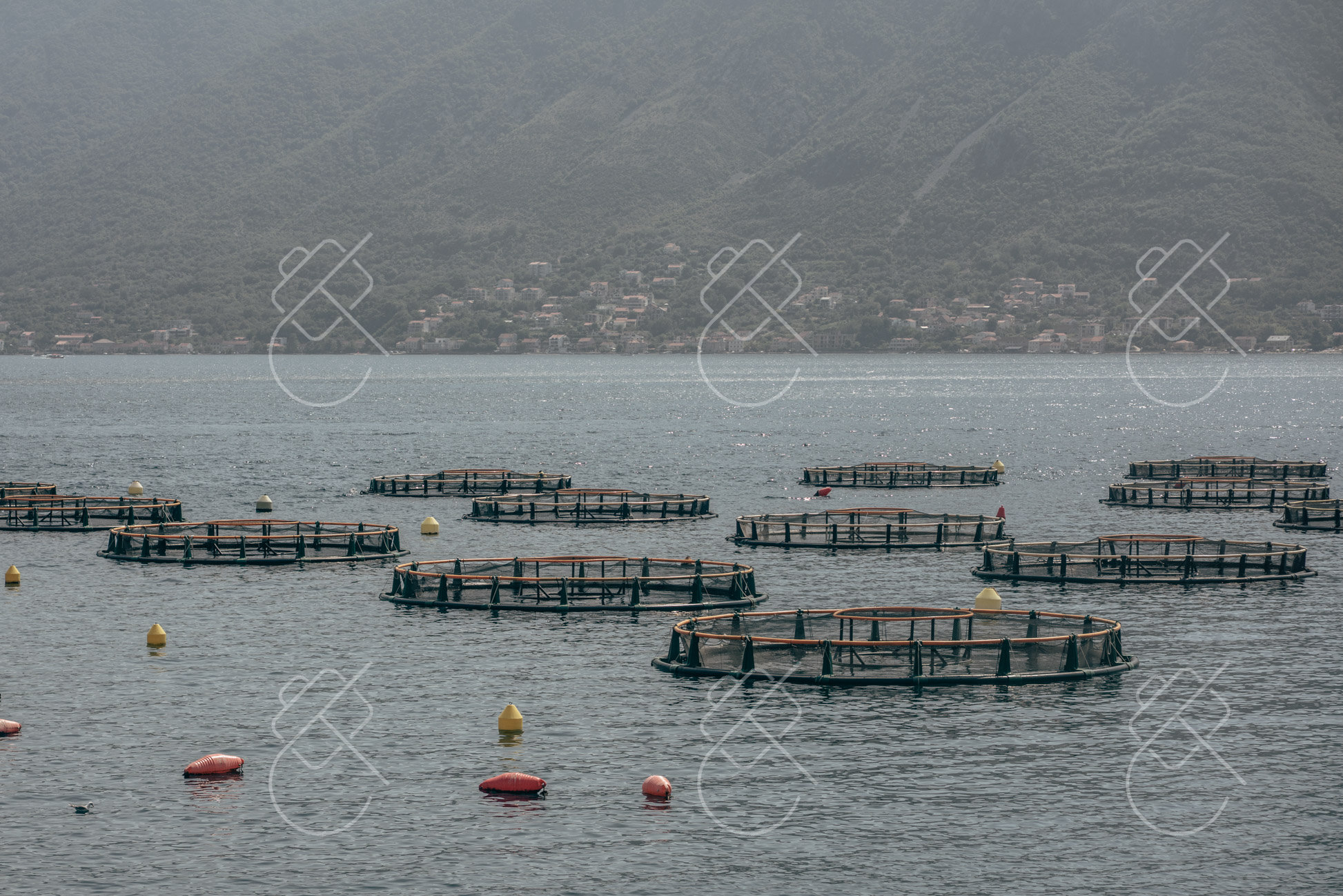Kotor, Montenegro, August 2023