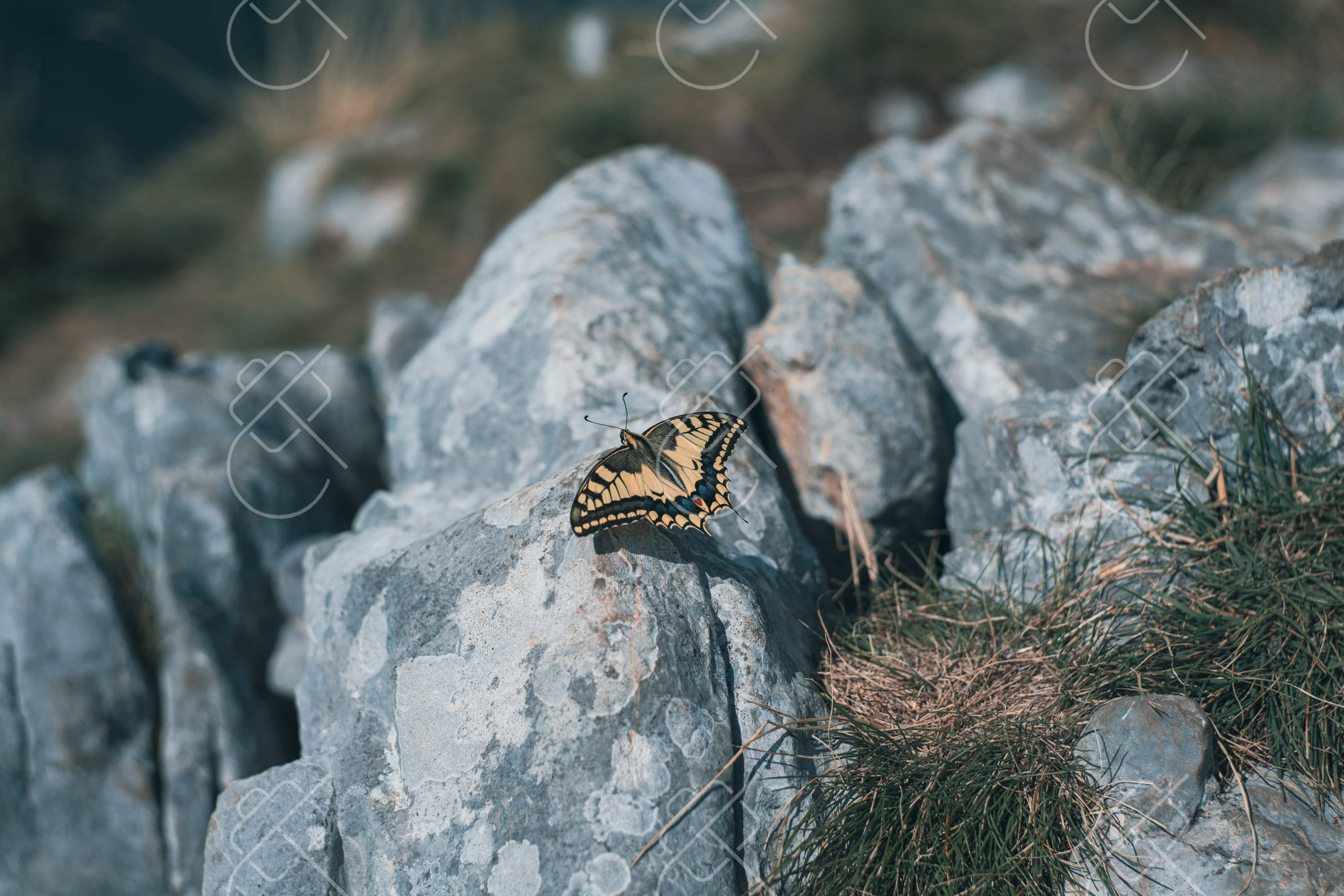 View & buy this print Gusinje, Montenegro — Nature