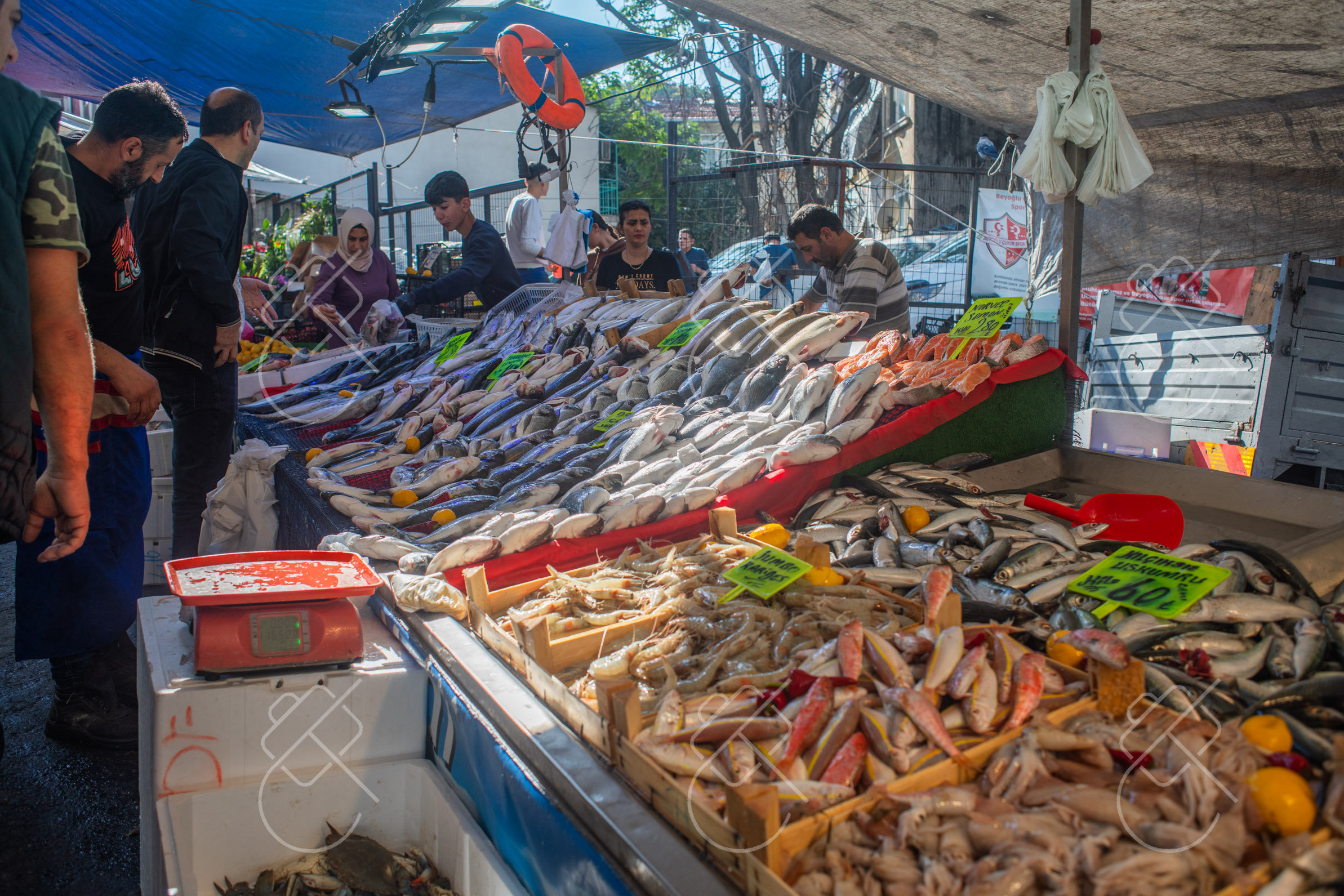What to Eat in Istanbul: 12 Istanbul Foods and Where to Find Them