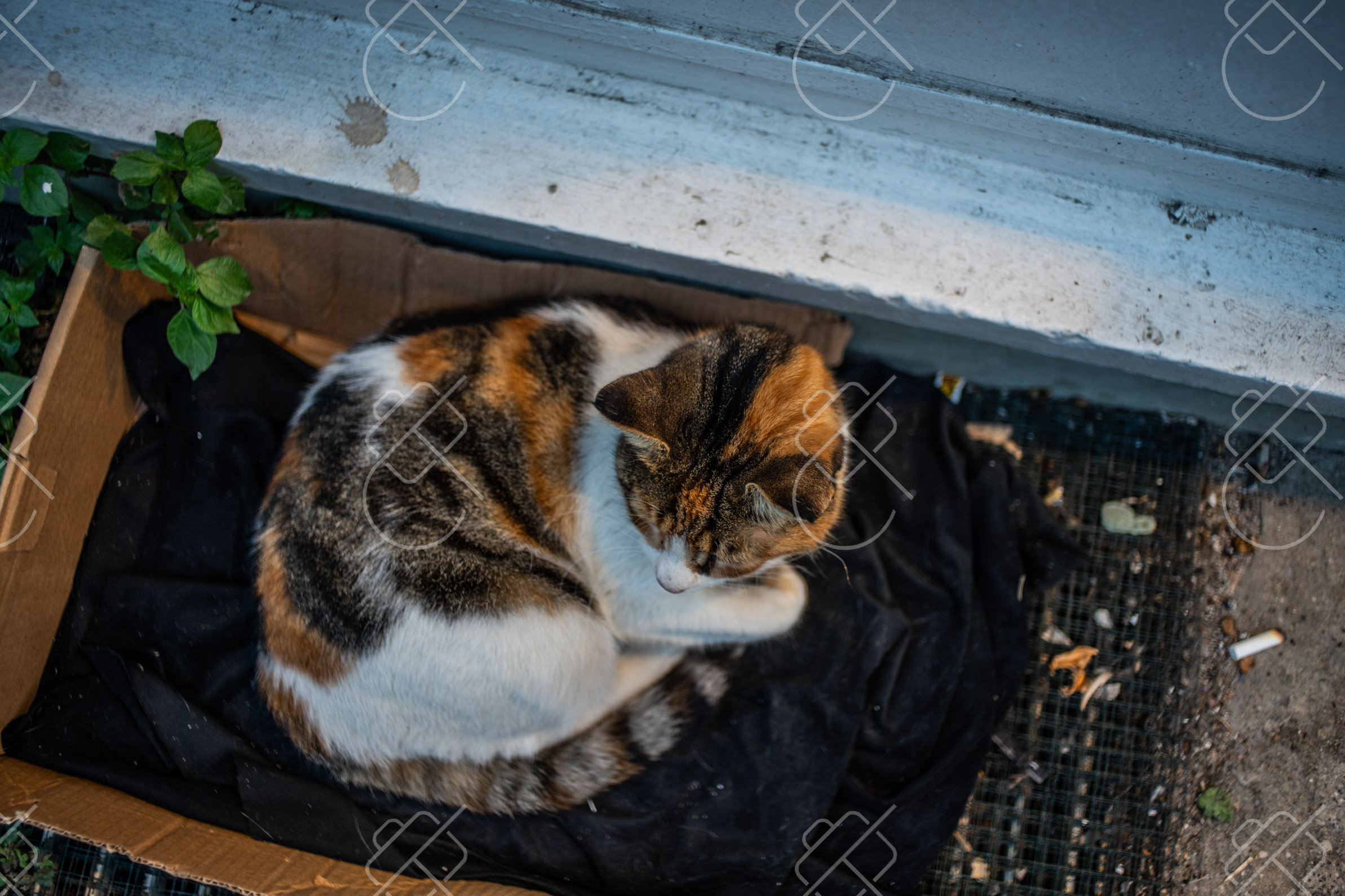 Istanbul, Turkey — travel photograph, October 2023